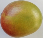 Mango duże