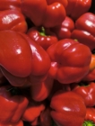 Pimiento rojo