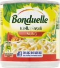 Brotes del frijol mungo