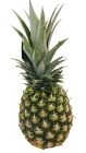 Ananas frais , le poids minimum 1,5 kg , prix par pièce