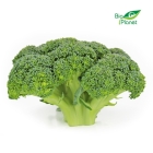 BIO brocoli frais (environ 0,3 kg - 1 pc )