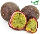 Organic passion fruit Bio Planet