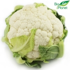 Organic mini Bio Planet cauliflower