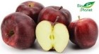 Jabłka Red Delicious ekologiczne