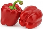 Organic red pepper Bio Planet