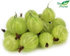 Органический крыжовник Bio Planet