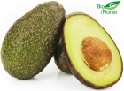 Hass avocado organic Bio Planet
