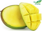 Bio Planet Mango bio