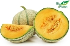 Bio-Melone von Bio Planet