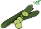 Bio Planet long organic cucumber