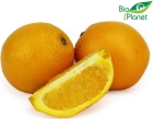 Planet Organic oranges fraîches BIO environ 1,2 kg