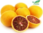 Oranges Red ecological Bio Planet
