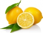 bio de citron frais