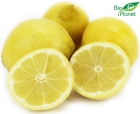 Limones ecológicos Bio Planet
