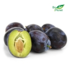 Bio Planète prunes fraîches BIO