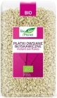 Bio Planet oatmeal Instant
