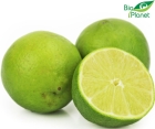 fresh lime BIO