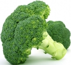Fresh broccoli BIO