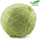 Bio-Weißkohl Bio Planet