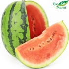 Organic watermelon Bio Planet