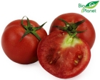 Tomates redondos ecológicos Bio Planet