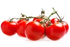 Pomidory na gałązce ekologiczne