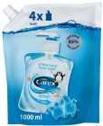 Carex anti-bactérienne du savon - Stock Splash