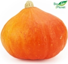 Organic Hokkaido Pumpkin Bio Planet
