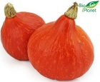 Organic Hokkaido Pumpkin Bio Planet