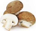 Organic brown mushrooms Bio Planet