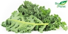 Organic kale Bio Planet