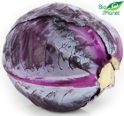 Organic red cabbage Bio Planet