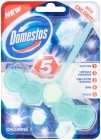 Domestos WC Power 5 pendant with bone Chlorine
