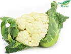 Bio Planet organic cauliflower