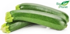 Organic zucchini Bio Planet