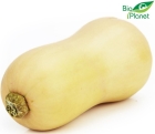 Organic butternut squash Bio Planet