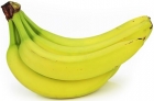Bio-Bananen Bio Planet