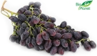 Organic red grapes Bio Planet