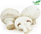 Organic white mushrooms Bio Planet
