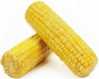 Kukurydza gotowana ekologiczna Bio