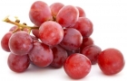 Grapes red