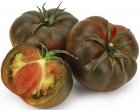 Pomidory rebelion ekologiczne Bio