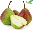 Organic pears from Bio Planet