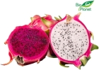 Pitaja ekologiczna Bio Planet
