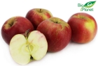 Idared apples organic Bio Planet