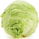 Organic young cabbage Bio Planet