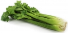 Bio Planet ecological celery