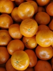 Mandarins