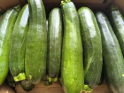 Zucchini