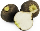 Organic black turnip Bio Planet